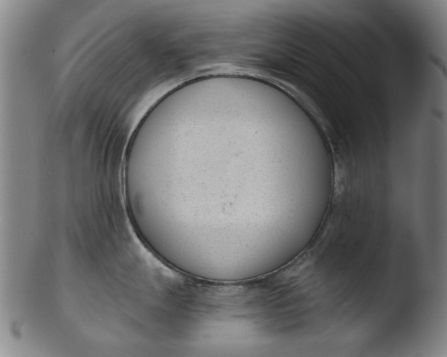 X0000103421247200809261659