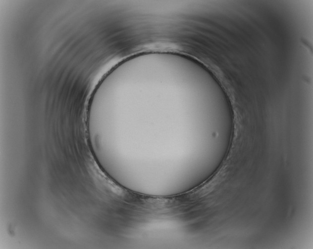 X0000103421248200809261659