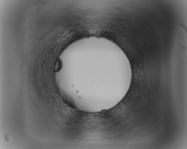 X0000103421249200809261659