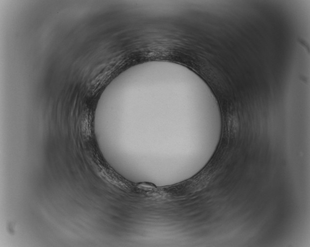 X0000103421250200809261659