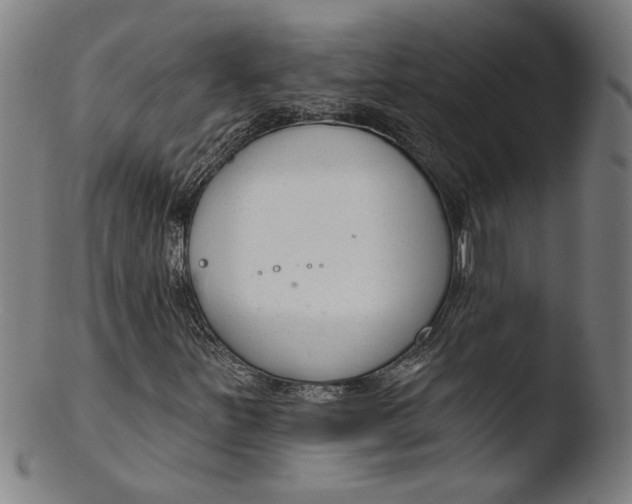 X0000103421251200809261659