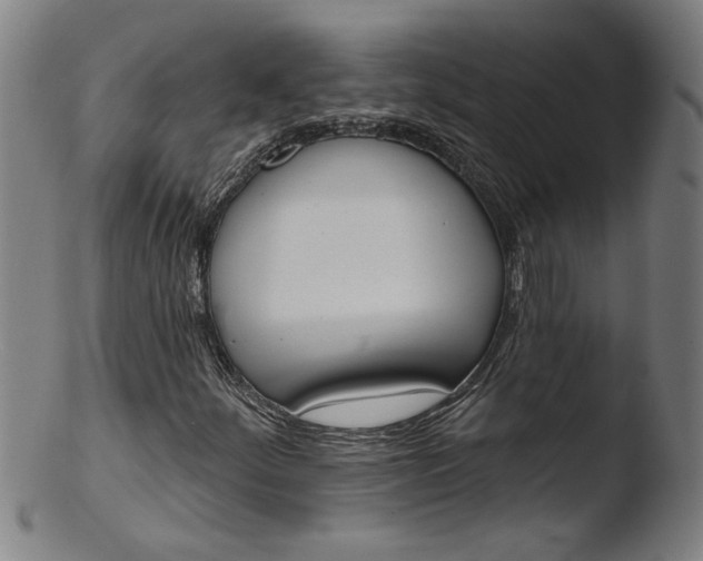 X0000103421252200809261659
