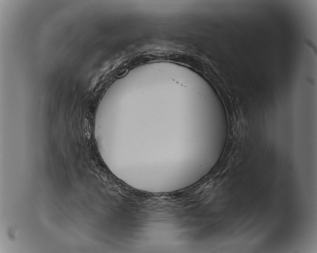 X0000103421253200809261659