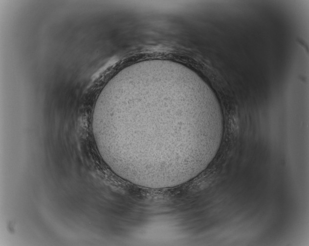 X0000103421254200809261659