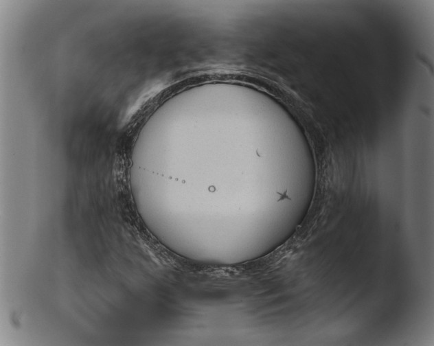 X0000103421255200809261659
