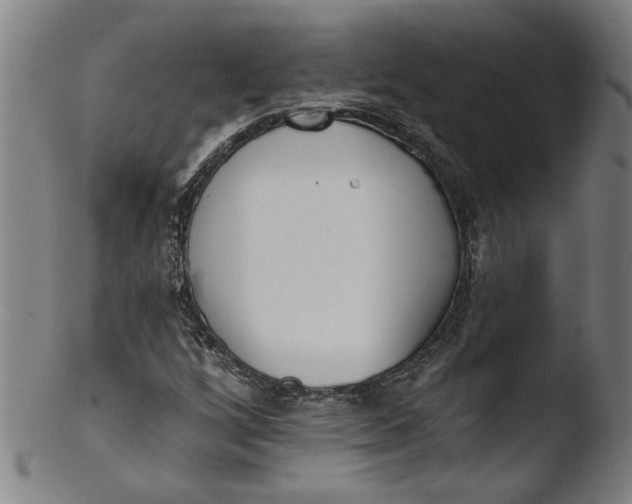 X0000103421256200809261659
