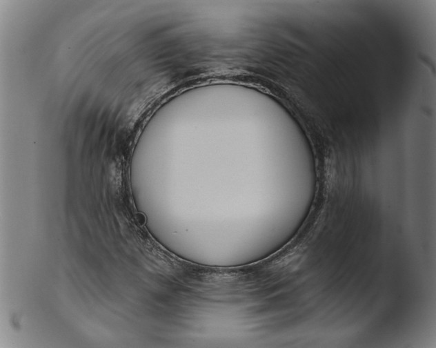 X0000103421257200809261659
