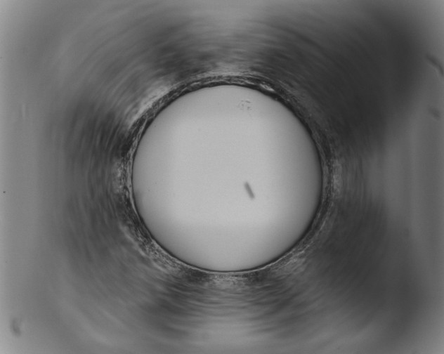 X0000103421258200809261659