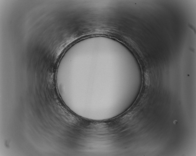 X0000103421260200809261658