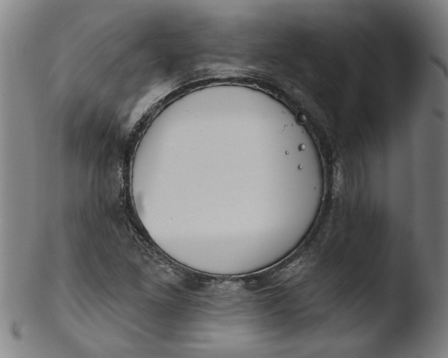 X0000103421261200809261658