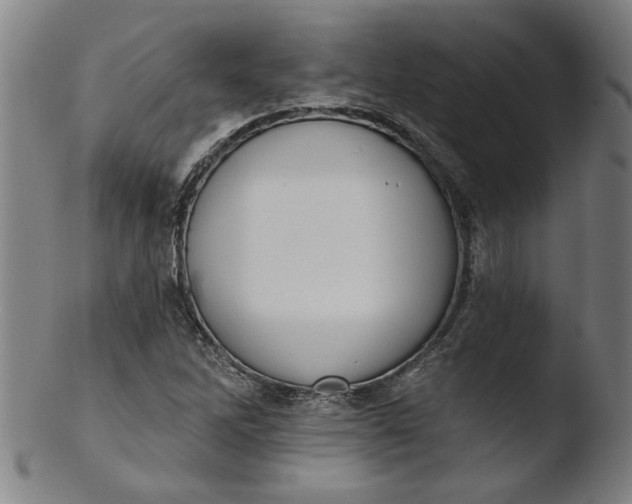 X0000103421262200809261658