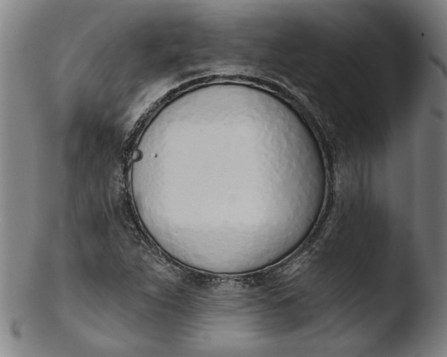 X0000103421263200809261658