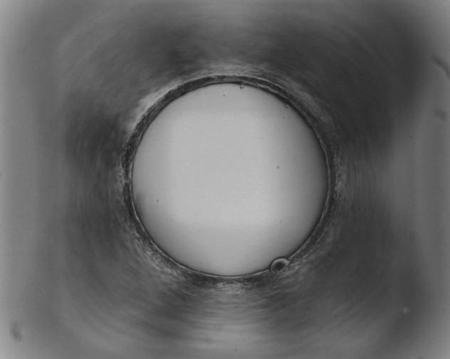 X0000103421264200809261658