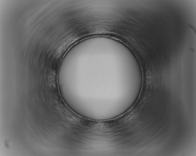 X0000103421265200809261658