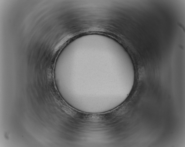 X0000103421266200809261658