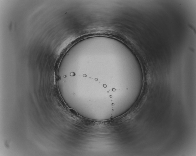 X0000103421267200809261658