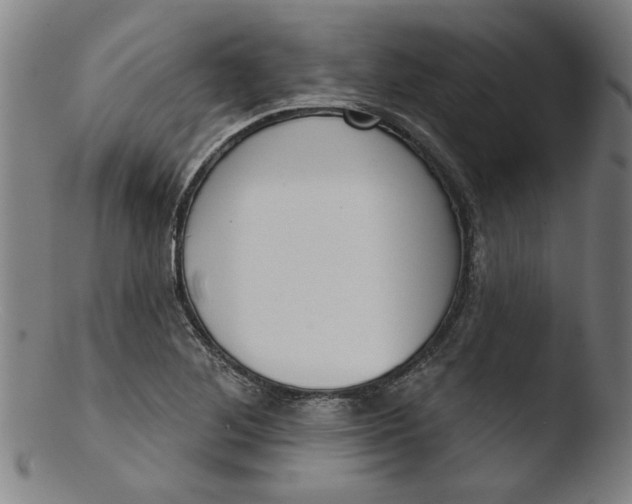 X0000103421268200809261658