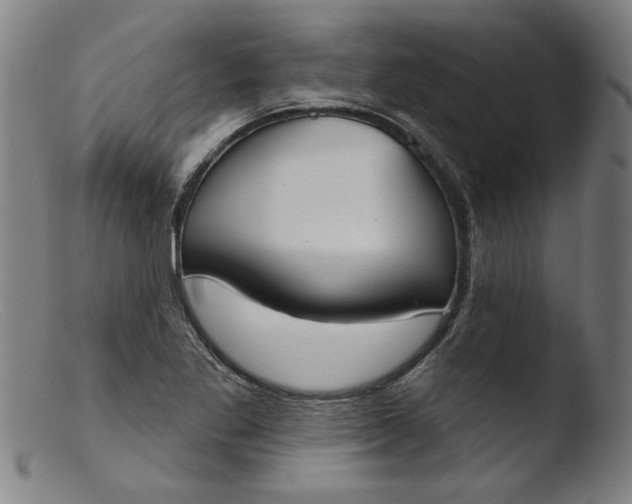 X0000103421269200809261658
