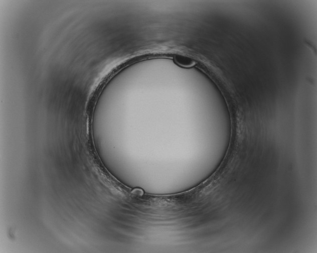 X0000103421270200809261658