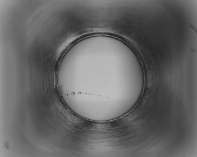 X0000103421271200809261658