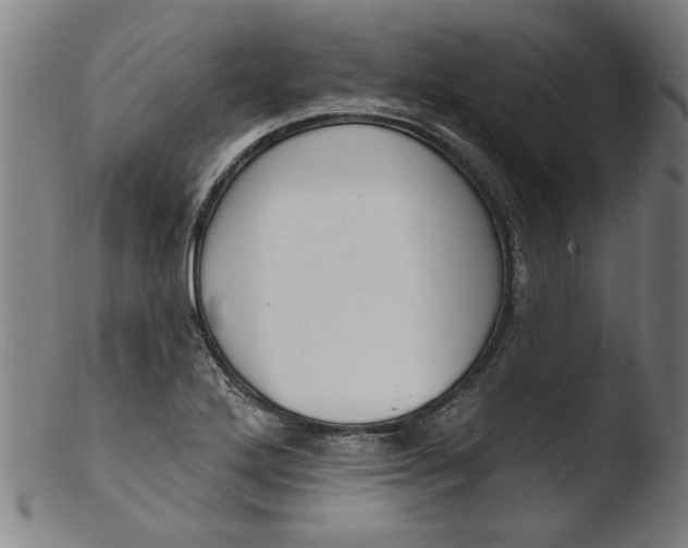 X0000103421272200809261658