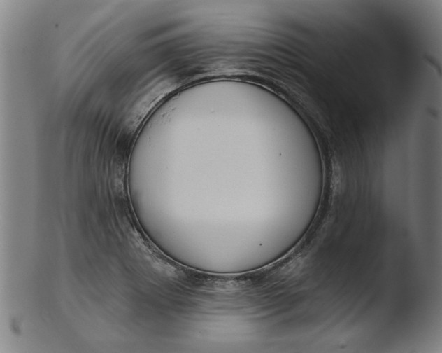 X0000103421273200809261658