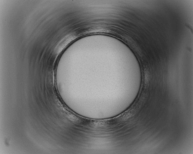 X0000103421274200809261658