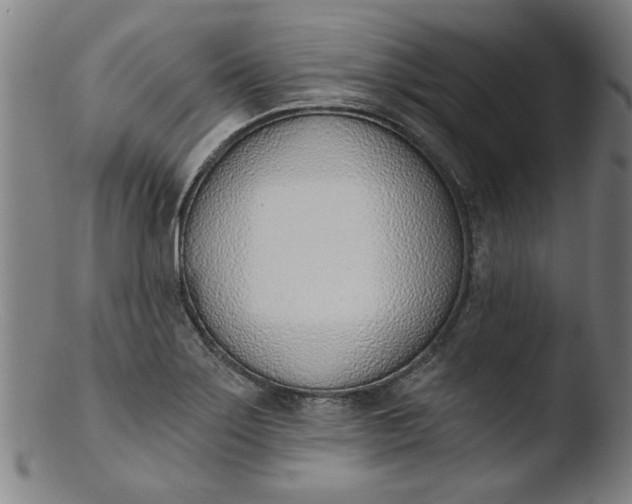 X0000103421275200809261658