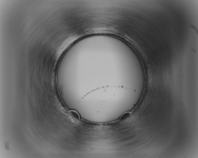 X0000103421277200809261658