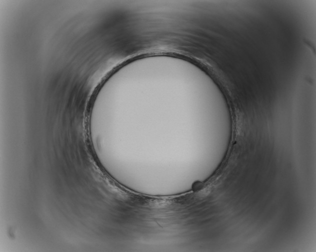 X0000103421278200809261658