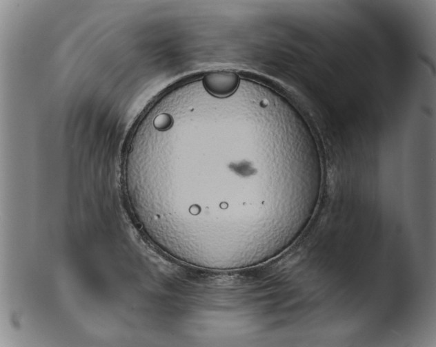 X0000103421279200809261658
