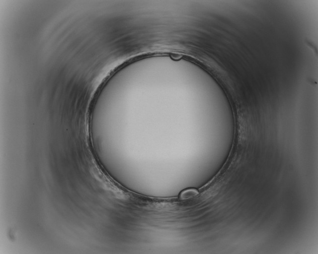 X0000103421280200809261658