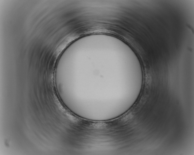 X0000103421282200809261658
