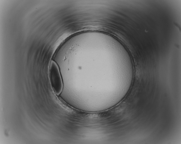 X0000103421283200809261658