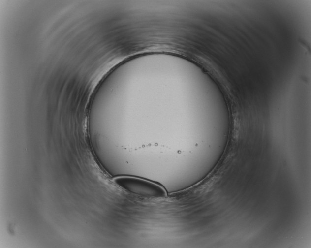 X0000103421284200809261658