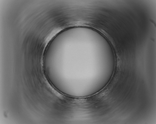 X0000103421285200809261658