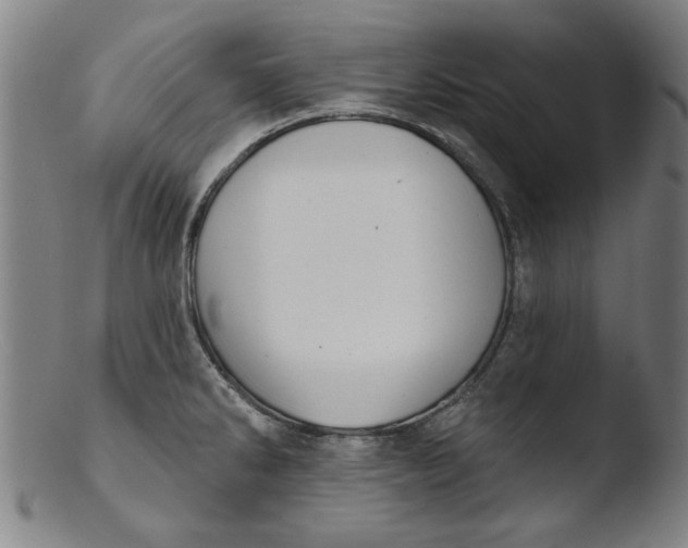 X0000103421286200809261658