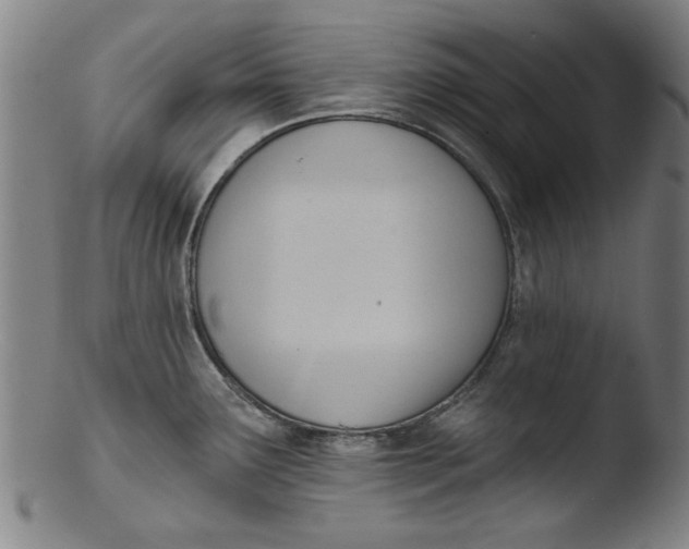 X0000103421291200809261658