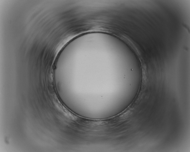 X0000103421292200809261658