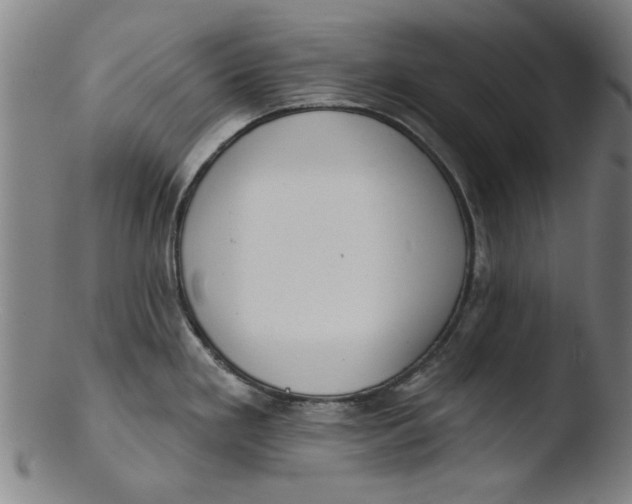 X0000103421293200809261658