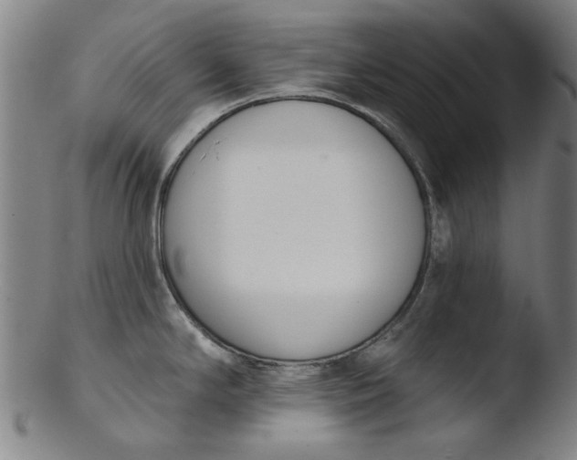 X0000103421294200809261658