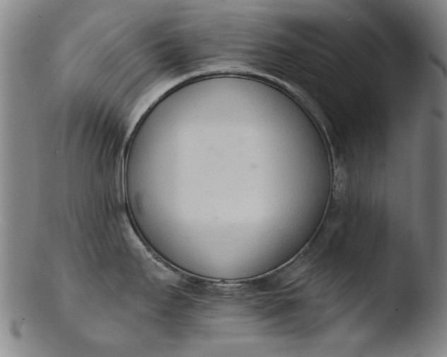 X0000103421295200809261658
