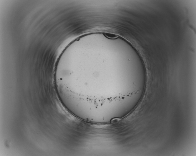 X0000103421296200809261658