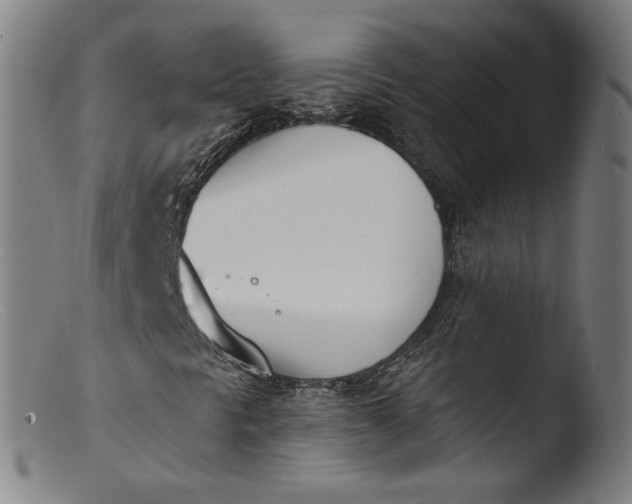 X0000103421297200809261657