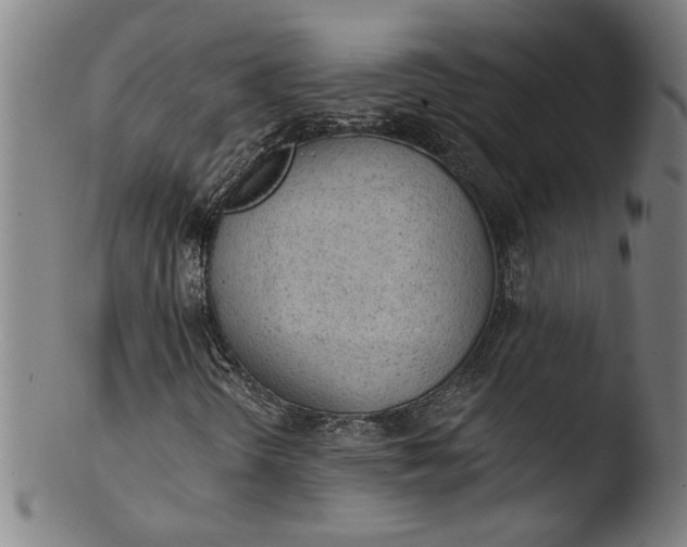 X0000103421298200809261657