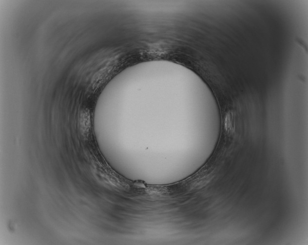 X0000103421299200809261657