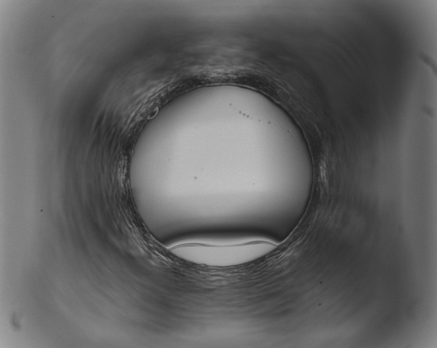 X0000103421300200809261657