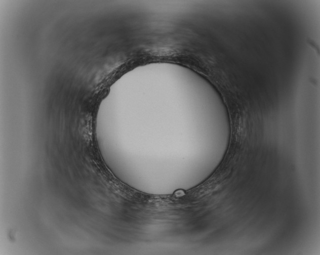X0000103421301200809261657