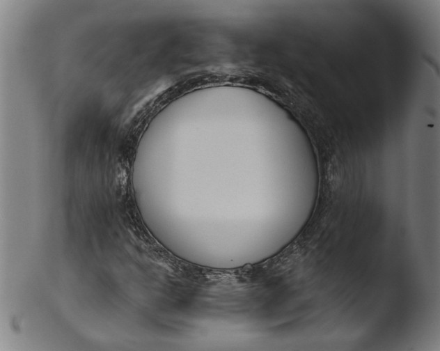X0000103421302200809261657