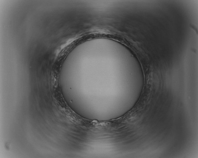 X0000103421303200809261657